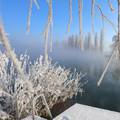 FOTO Snježna idila u Karlovcu: Drveća okovana ledom na -11°C