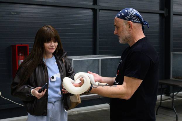 Zagreb: Izložba zmija, papiga, guštera i paukova u Family mallu