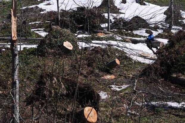 Zagreb: Posljedice olujnog nevremena na Sljemenu