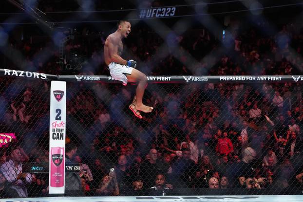 MMA: UFC 323 - Pantoja vs Van