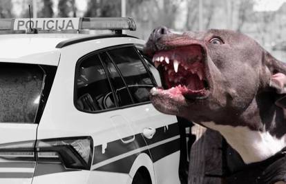 Užas u Zadru: Pas do smrti izgrizao staricu (82) u stanu
