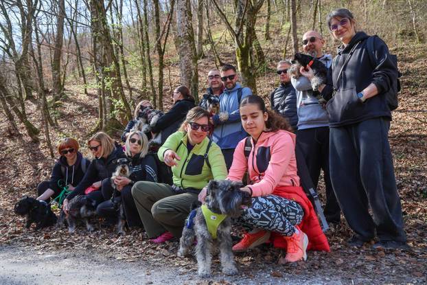 Žumberak: U organizaciji Miniature Schnauzers Croatia održano je druženje patuljastih šnaucera