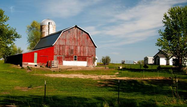 FOTO Djecu je prestravilo ono što su vidjela u šumi:  'Čudovište je bilo ogromno, bježali smo...'