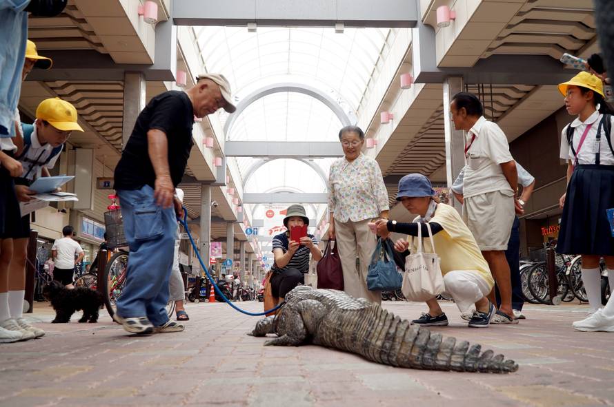 JAPANESE MAN WITH PET CAIMAN