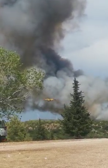 Veliki požar kod Šibenika: Vatra izbila u Vrpolju i proširila se na borovu šumu. Kuće su obranili