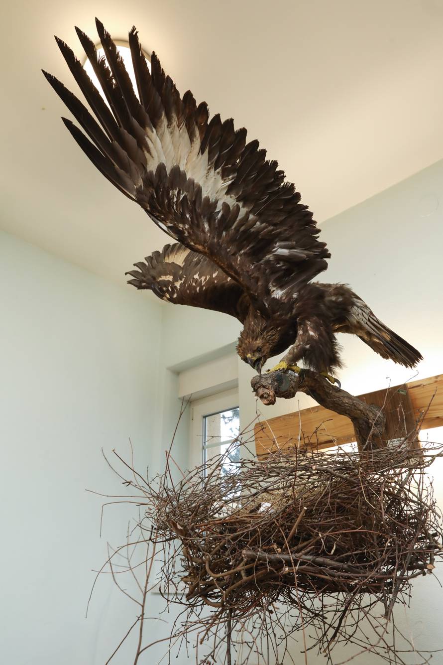 24SATA Izložba "100 godina hrvatskog lovstva" u Lovačkom muzeju