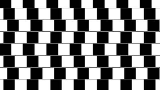 Optical Illusions