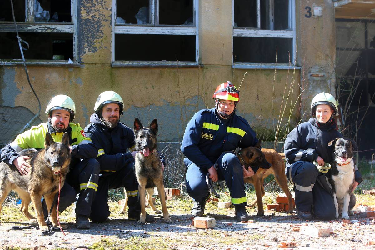 Pseći vatrogasci mogu nanjušiti ljude zatrpane ispod ruševina: 'U Petrinji su bili jako ozbiljni'