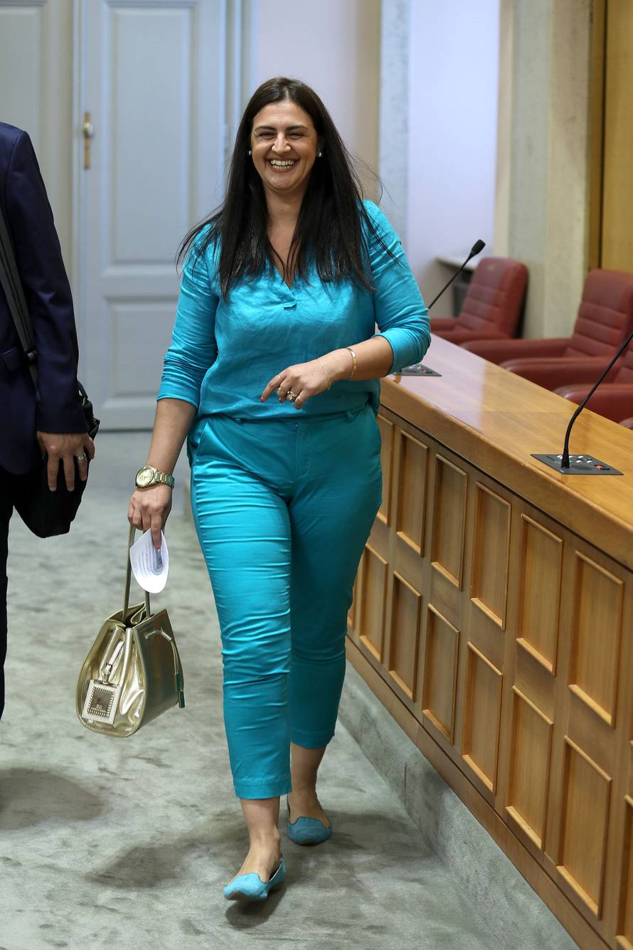 Zastupnice sa stilom: One su unijele boje i živost u Sabor