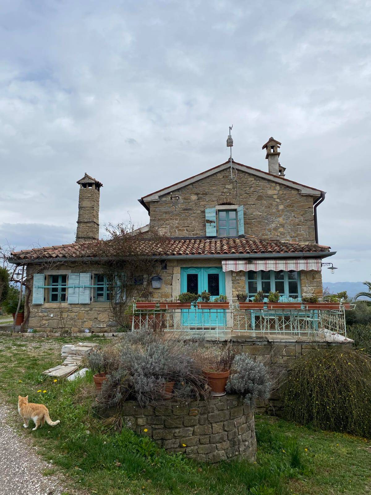 Ovo je vila Hrvoja Vojkovića u Istri. Tjedan dana je 5740 eura. 'Ima tu oranica i za tulipane...'