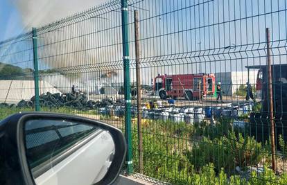 Zapalilo se smeće na Malom Lošinju: 'Ulovili smo požar na vrijeme dok se nije proširio'