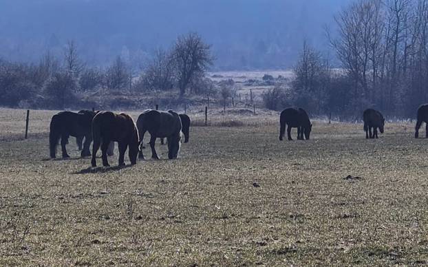 Foto Op&cacute;ina Fu&zcaron;ine