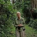 Jane Goodall planira posaditi pet milijuna stabala ove godine