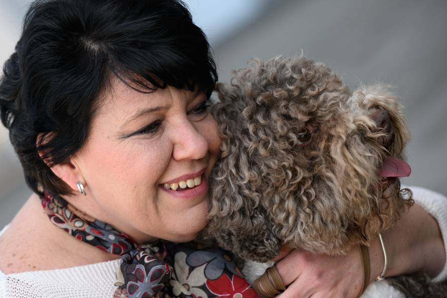 Zagreb: Orca, pasmine lagotto romagnolo, pobijedila je na najprestižnijoj izložbi pasa na svijetu