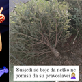 Remi iz Elementala komentirala bačene borove: 'Susjedi se boje da ne ispadnu pravoslavci...'