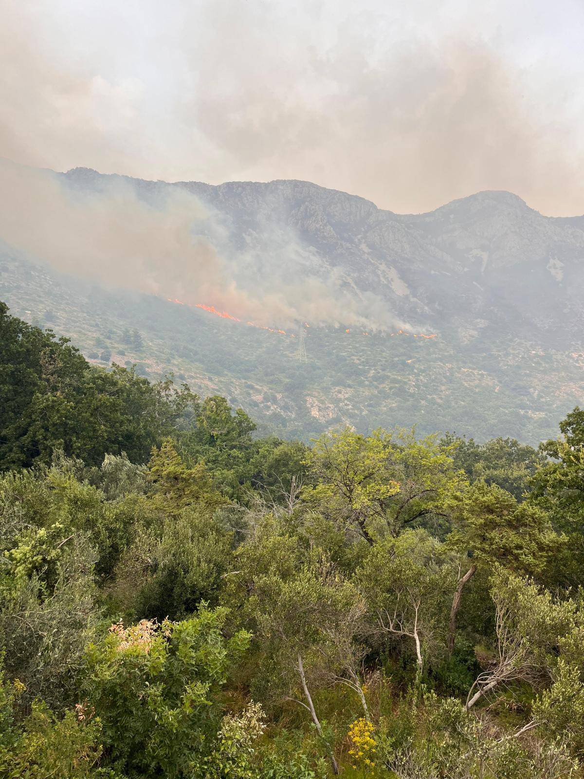 FOTO Vatrogasci se borili cijelu noć s požarom kod Dubrovnika: 'Još uvijek nije lokaliziran'