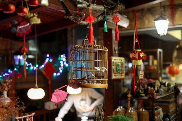 Zagreb: Kineski restoran i čajana Jing Yuan Teahouse u Gajnicama