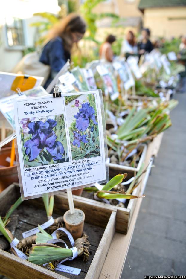 Zagreb: Veliki interes izazvala je godišnja rasprodaja viška biljaka u Botaničkom vrtu