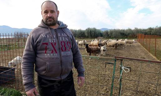 Vukovi haraju Zažabljem, očajni mještani traže zaštitu za stoku: 'Ovdje nemaju što drugo jesti...'