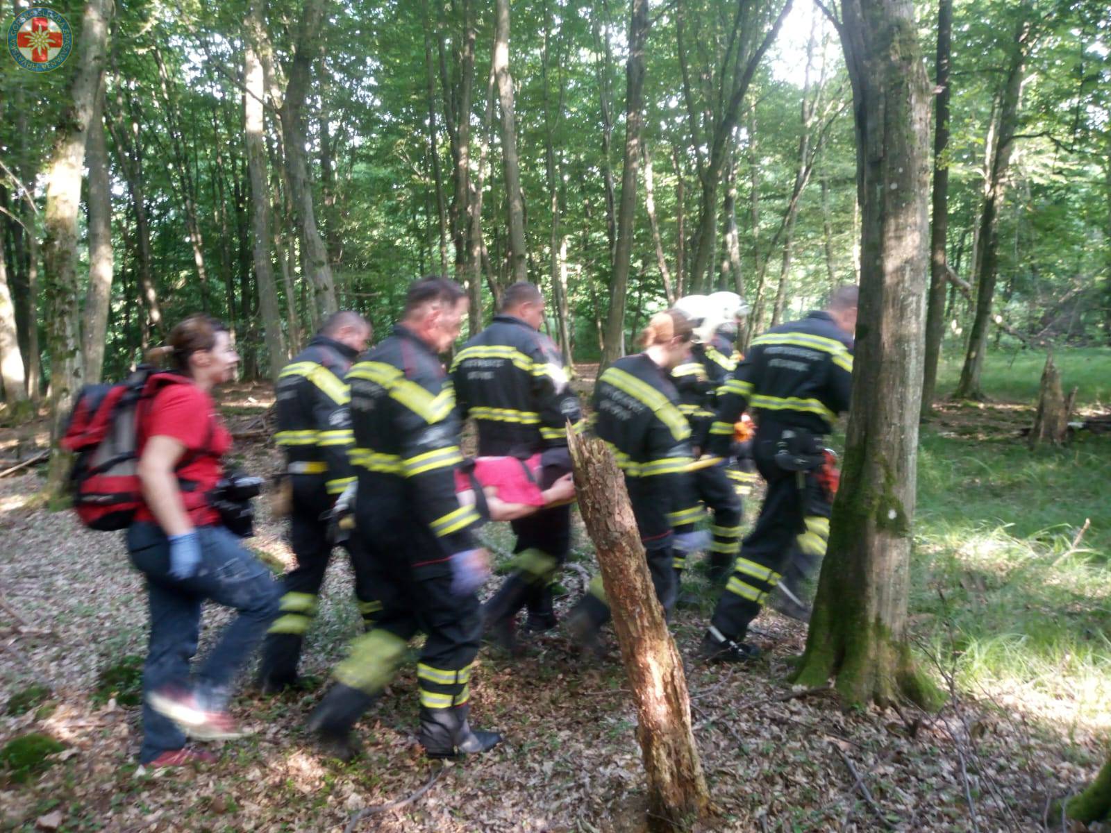 Ovo su slike s mjesta nesreće, HGSS o padu aviona: Našli smo ga u šumi, okrenuo se naopačke