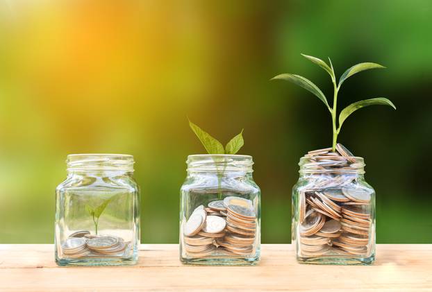 Conceptual coins in glass bottle and growing tree on nature background,Business investment growth concept