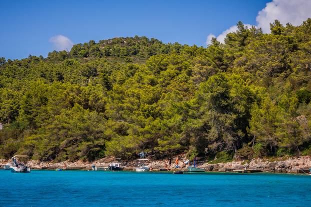 Vela Luka: Uvala Slatina