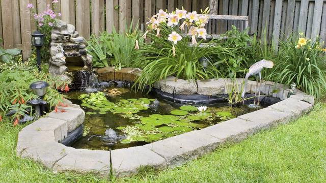 Stavite si u vrt maleno jezerce, lijepo izgleda, a još je i korisno