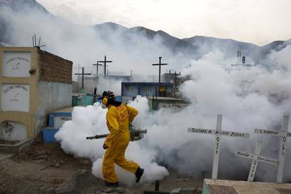 Cjepiva nema, a virus se širi: Zika opasnija nego što mislimo