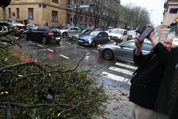 Zagreb:  Nevrijeme i jak vjetar srušili su nekoliko stabala u centru grada