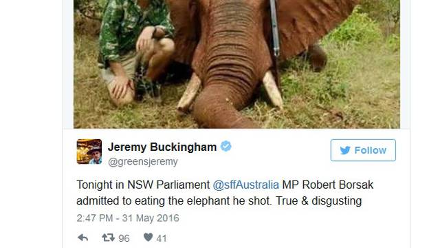 Političar: Ubio sam pa pojeo slona, to je moje ljudsko pravo