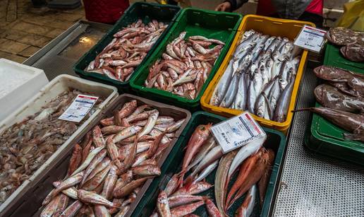 FOTO Tržnica u Splitu petkom je puna raznih morskih delicija: Što kažete na cijene?