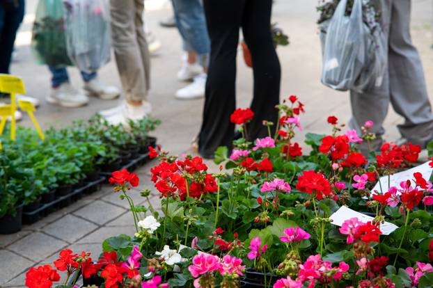 Zagreb: Brojni građani posjetili Floraart na Bundek