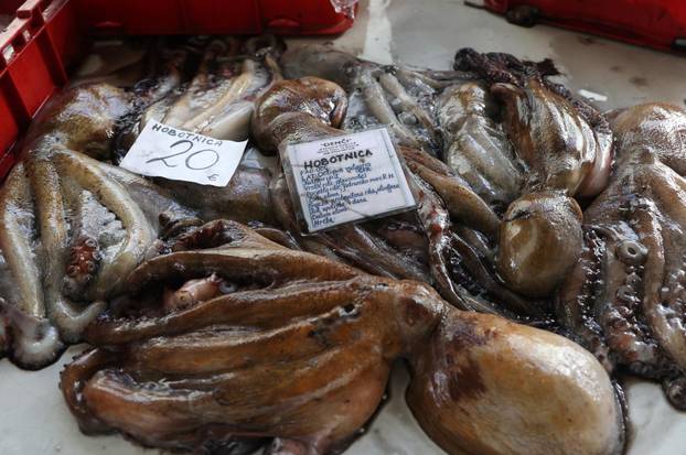 Šibenik: Bogata ponuda u šibenskoj ribarnici