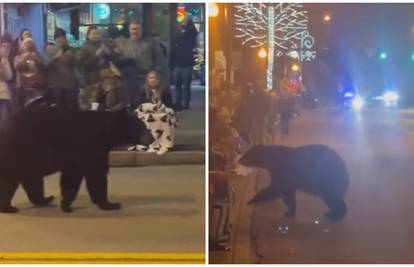 VIDEO Panika na božićnom sajmu! Došao medo, gostio bi se