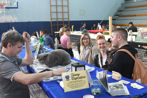 Bjelovar: Međunarodna izložba pasminskih mačaka u organizaciji Saveza felinoloških društava Hrvatske