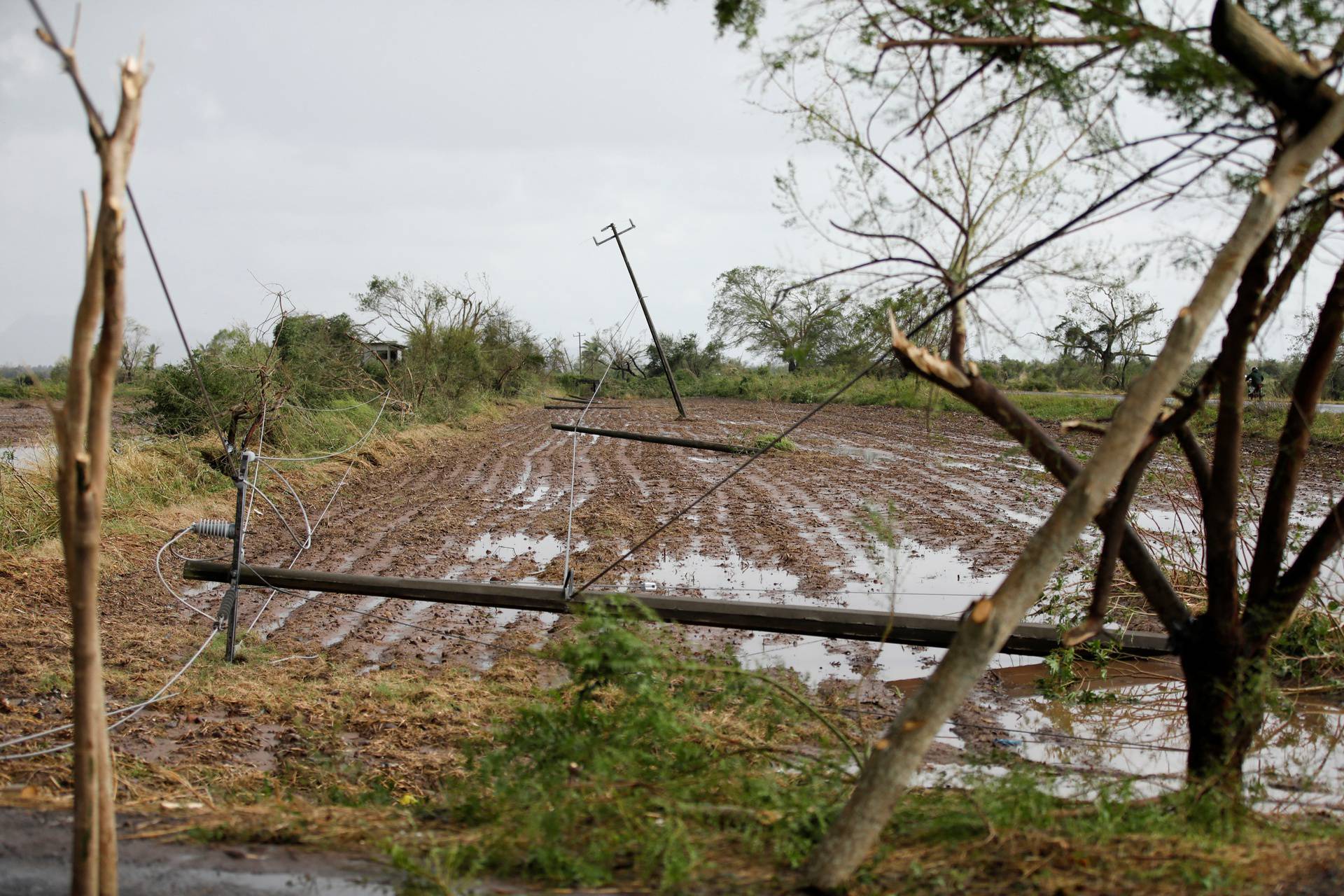 Aftermath of Hurricane Roslyn in Mexico