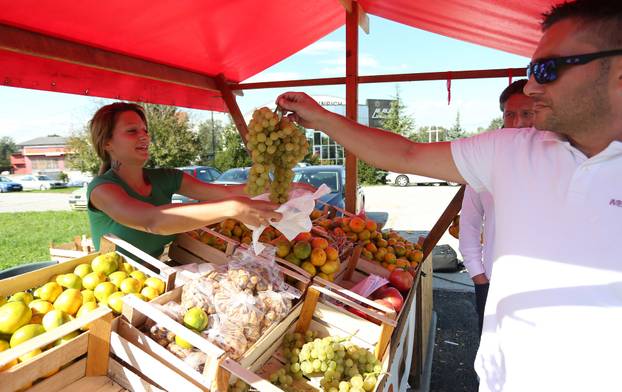 Zagreb: Kristina Penava, prodavačica mandarina kod Podsusedskog mosta