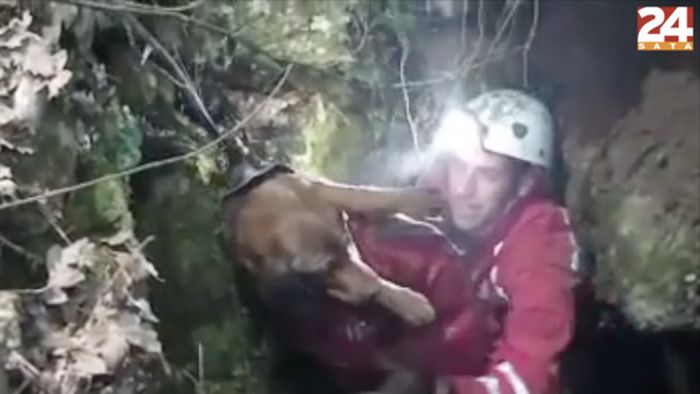 VIDEO HGSS spasio psića koji je upao u 12 metara duboku jamu