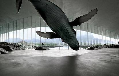 Norveška otvara muzej 'Kit': Bit će super mjesto za promatranje