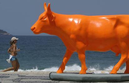 Krave od fiberglasa okupirale plažu u Brazilu