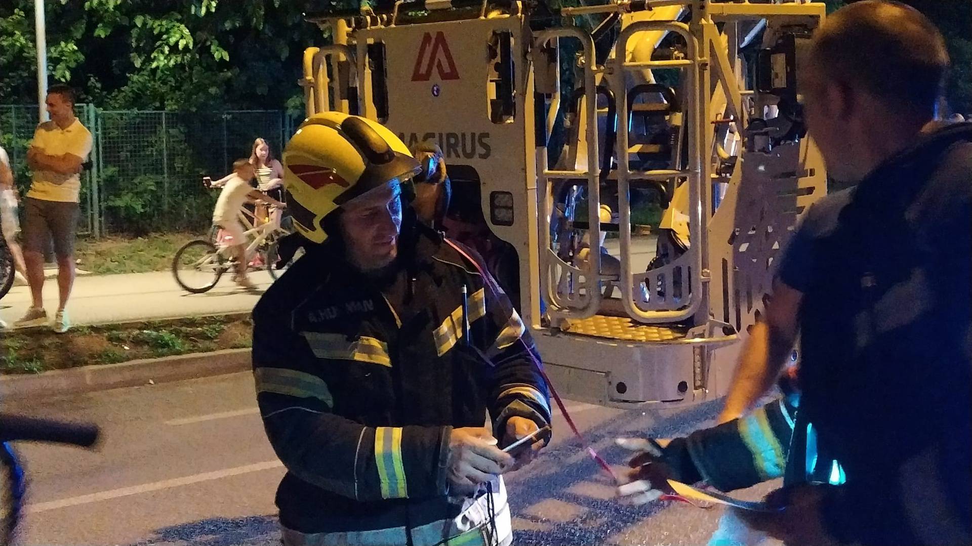 VIDEO Vatrogasci spasili papigu u Zagrebu: 'Pobjegla vlasniku i onda nije htjela sići s drveta'