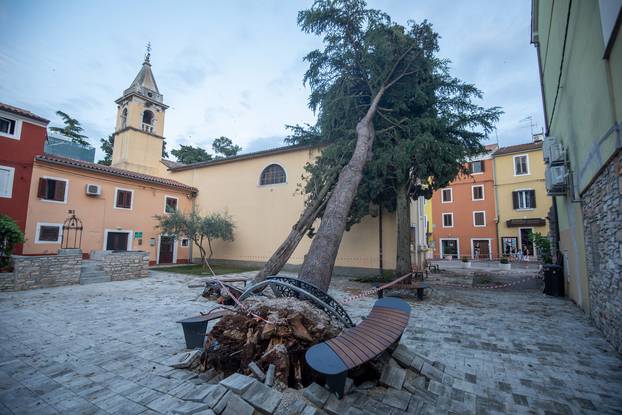 Novigrad: Velika šteta nakon razornog vjetra