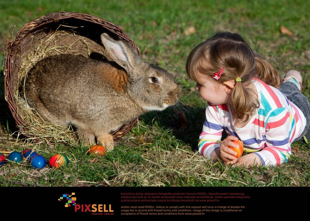 Pixsell