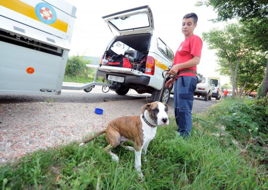 Hrvoje Jelavić/PIXSELL