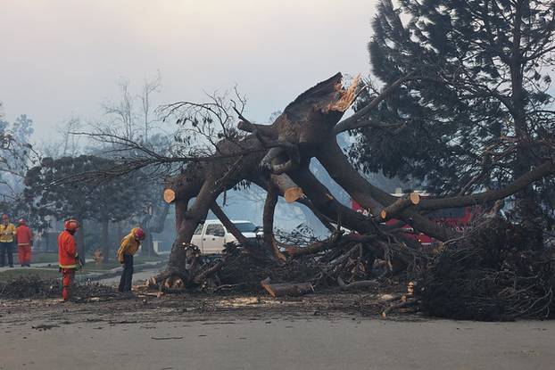 100 FOTOGRAFIJA UŽASA Ovo su vatrogasci snimili u paklu LA-a!