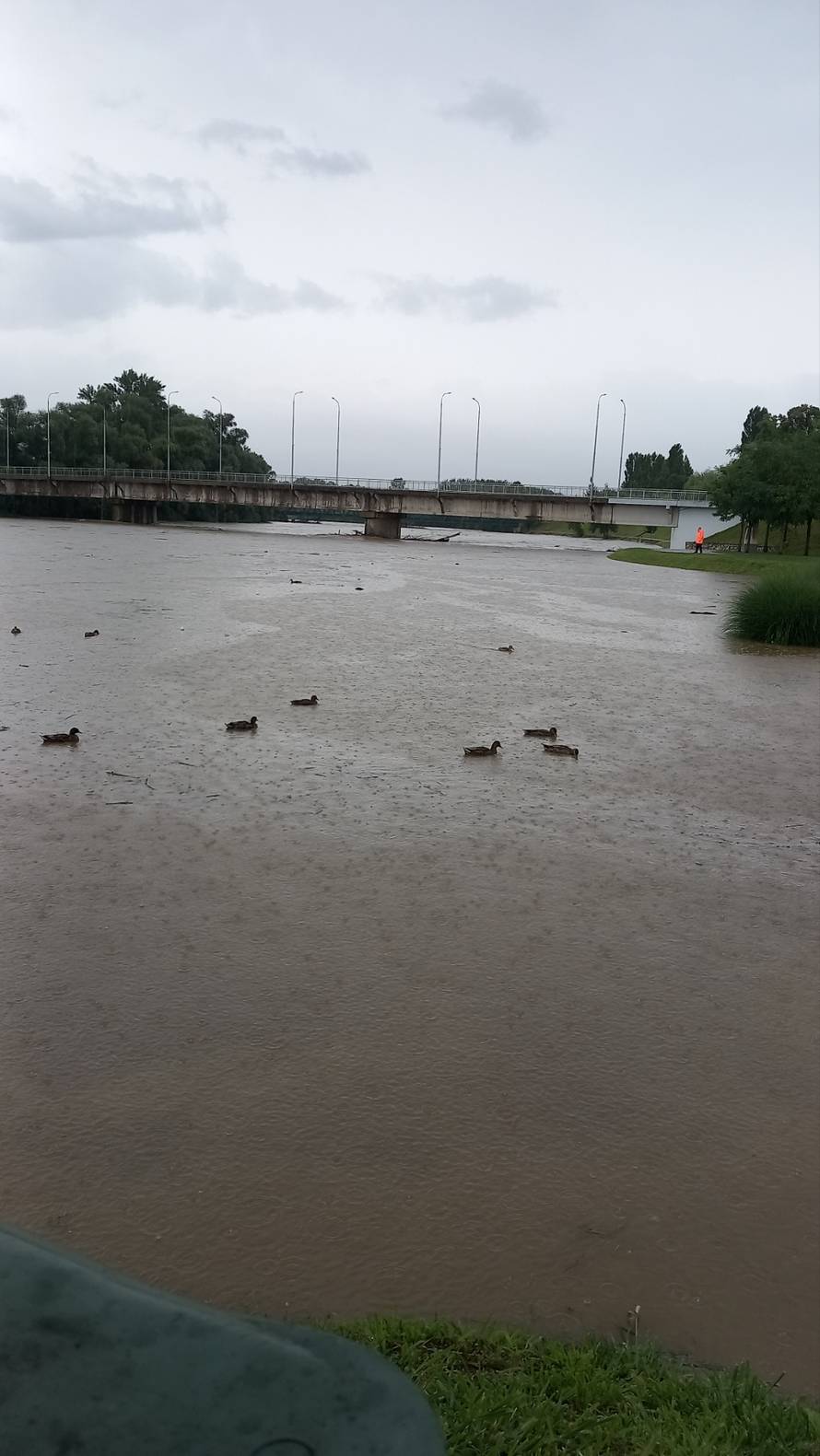Rekordan vodostaj Mure, raste vodostaj Save u Rugvici. Drava ozbiljno prijeti dijelu Podravine