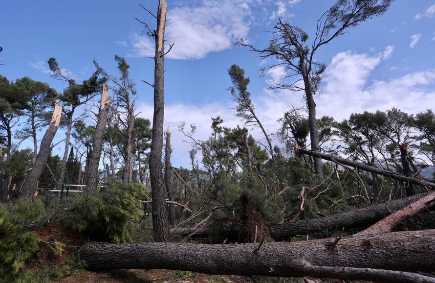 Posljedice velikog nevremena u Splitu, Marjan oštećen i zatvoren za građane