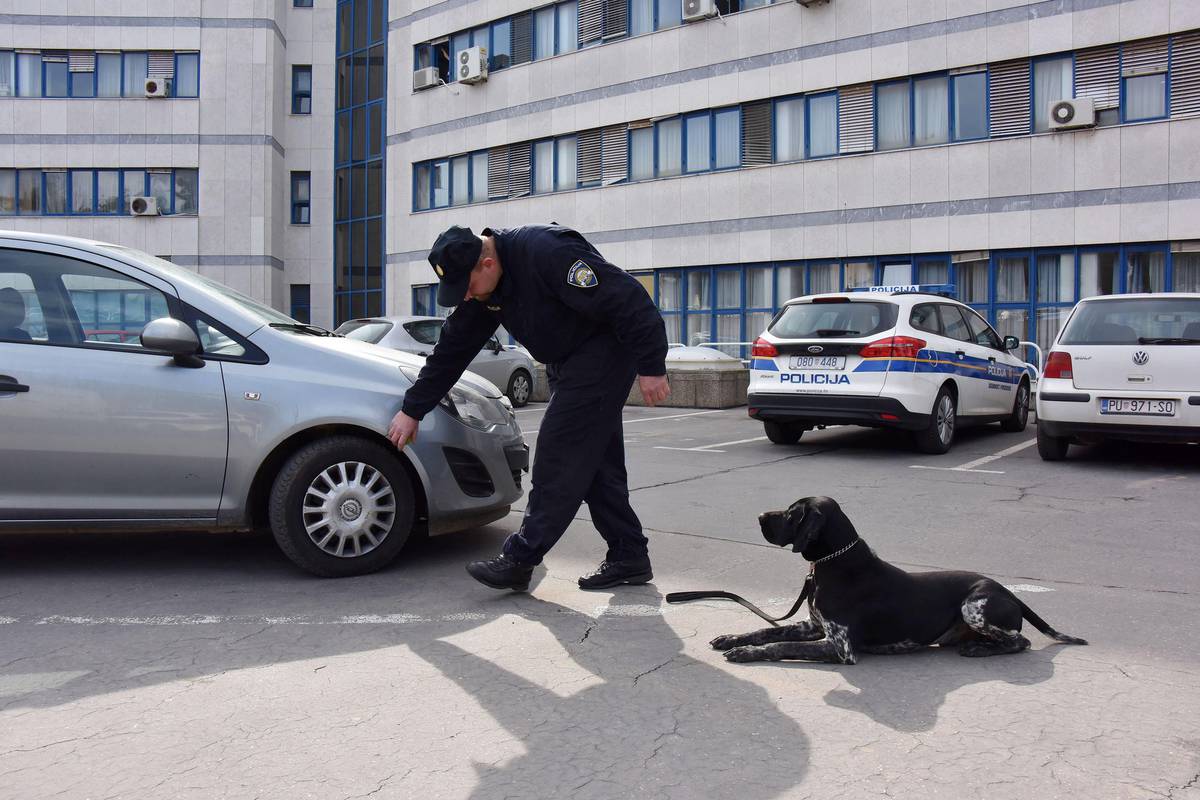 Duksov novi ulov: Policijski pas  u Rovinju našao 700 g 'trave'