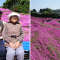FOTO Pogledajte tu divotu: Farmer zasadio tisu&cacute;e cvjetova za svoju slijepu suprugu