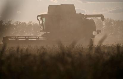 Rusija je poslala afričkim zemljama 200.000 tona žita